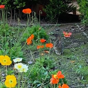 Meet your Posher, Virginia